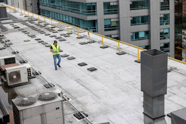 Best Storm Damage Roof Repair  in Nashua, IA